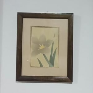 Trío de Cuadros Botánicos
