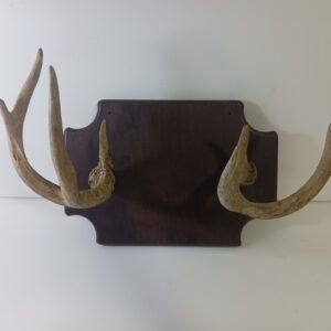 Placa decorativa rústica con astas de venado