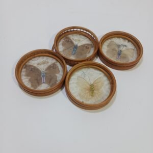 Posavasos Mariposas